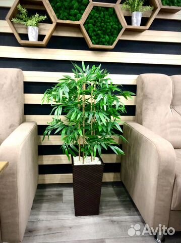 Искусственное дерево бамбук