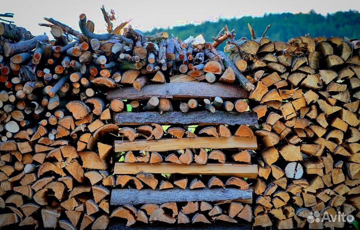 Дрова ольха