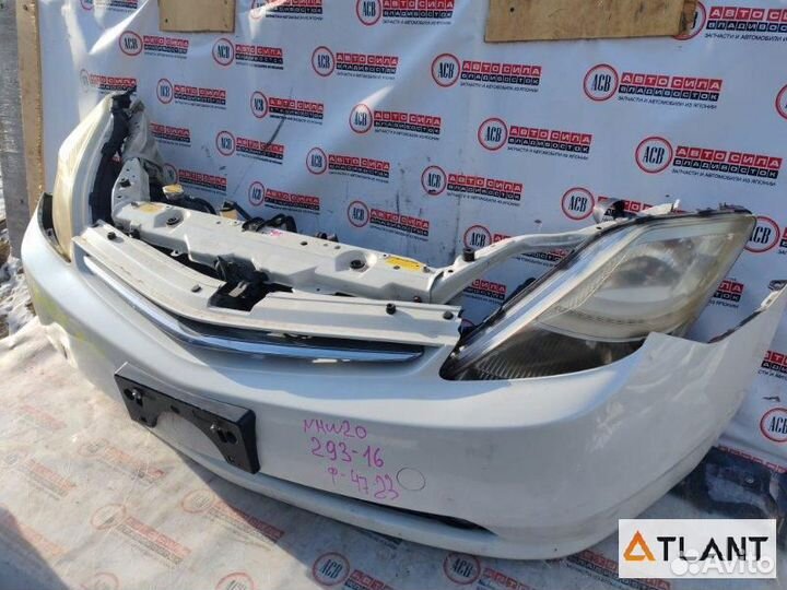 Nose cut toyota prius