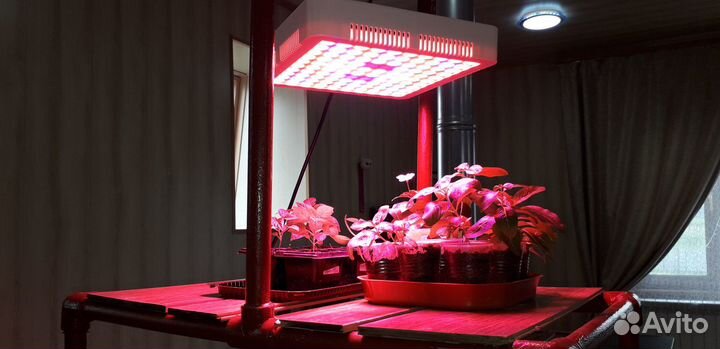 Фитолампа 300W Полный спектр