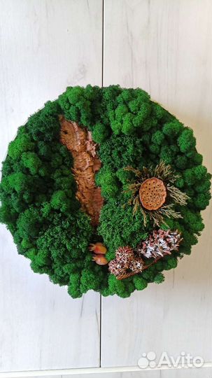 Фитокартина с подсветкой на батарейках