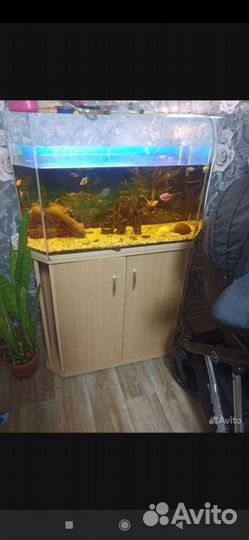 Аквариум