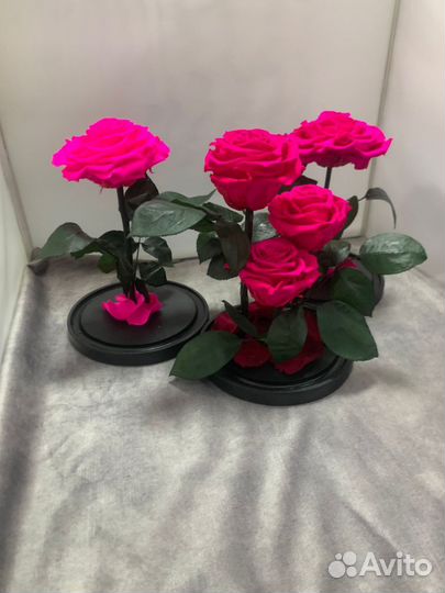 Роза в колбе оптом