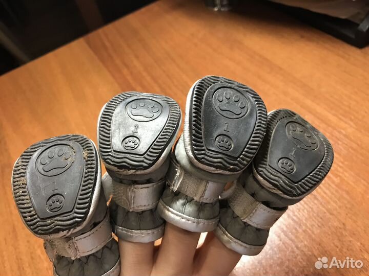 Ботинки для маленьких собак