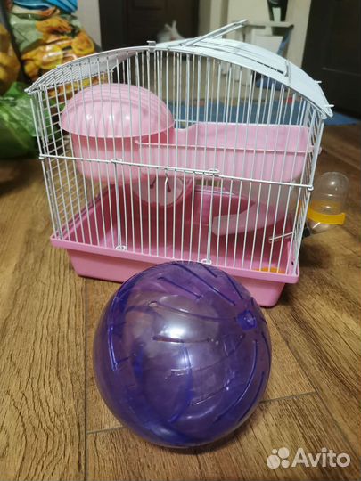 Клетка для джунгарского хомяка