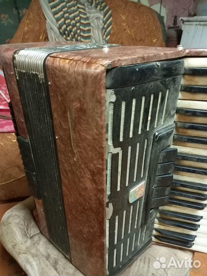 Аккордеон москва