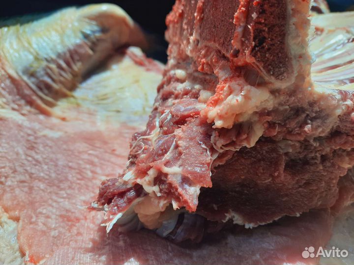 Тёлочка на мясо