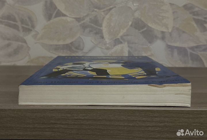 Багуа-Чжан. Эмэйская школа. Теория и практика