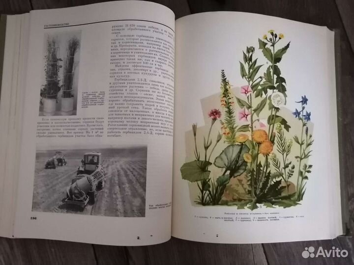 Советская энциклопедия для детей (11 из 12 томов)