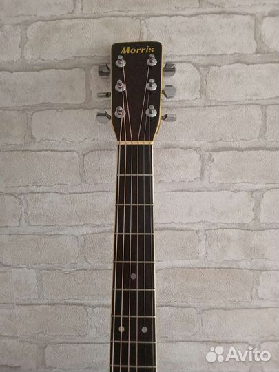 Акустическая гитара Morris W 25