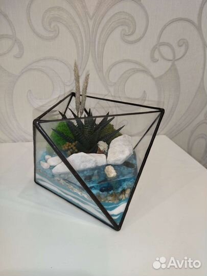 Флорариум/растения/цветы