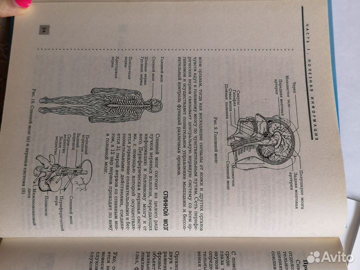 Очищение организма, энциклопедия