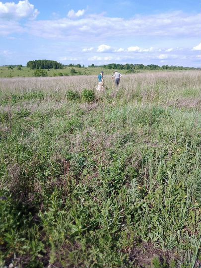 Участок 15 сот. (ИЖС)