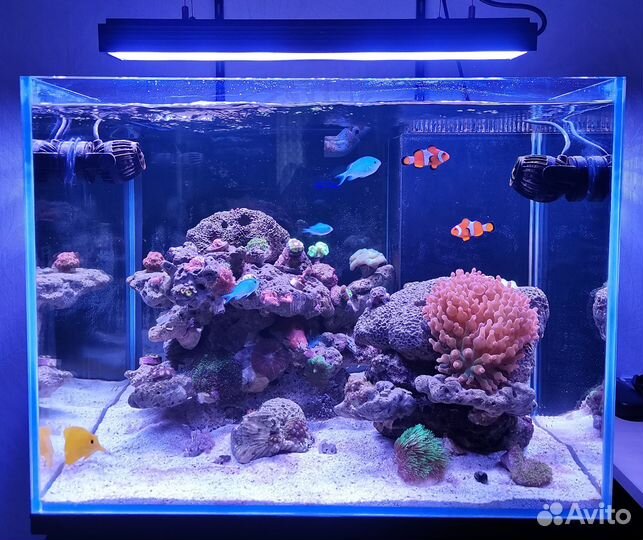 Грунт рифовый RED SEA Reef Pink