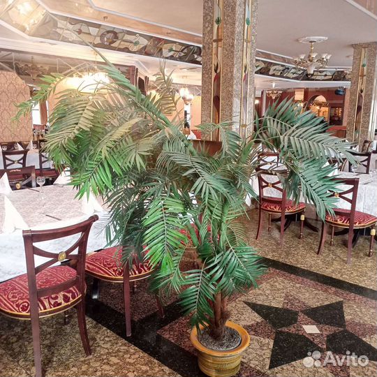 Искусственная пальма бу