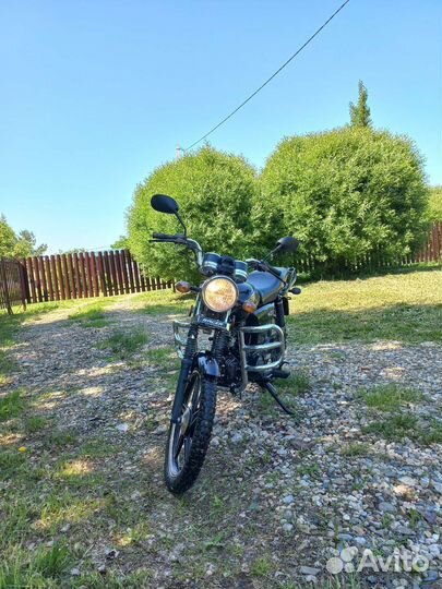 Мопед Racer Alpha GS 50 (110)