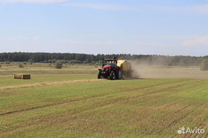 Трактор YTO ELG1604, 2023