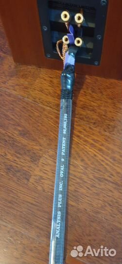 Analysis plus oval 9