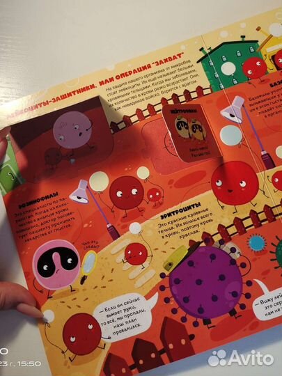 Детская книга с окошками 