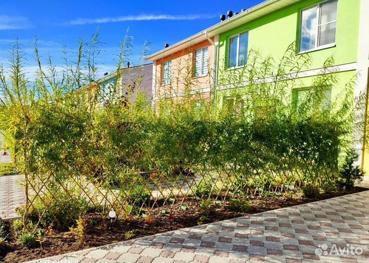 Плетеные деревья из ивы