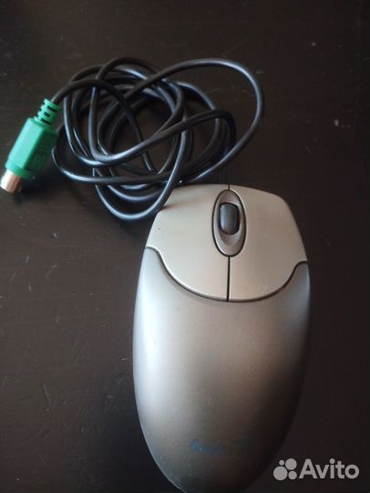 Мышь