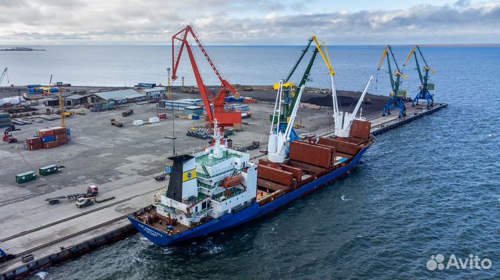 Услуги фотографа