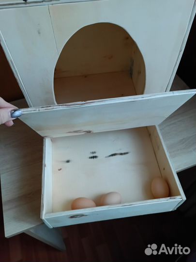 Гнездо для кур с яйцесборником