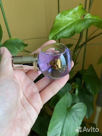 Lanvin eclat d arpege парфюмерная вода