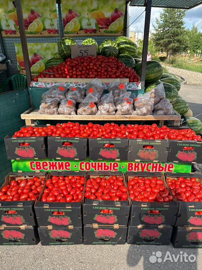 Помидоры сливки