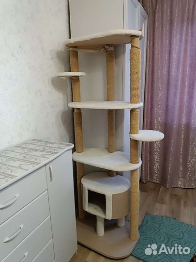 Комплекс -когтеточка