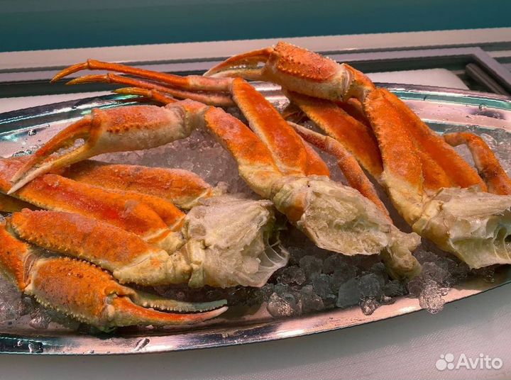 Клешни краба стригуна. Свежие. Опт