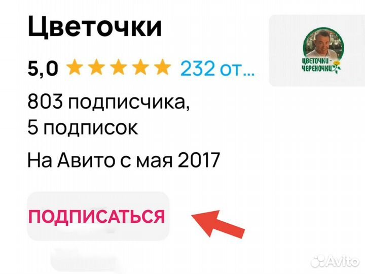 Торф Агробалт 70 л