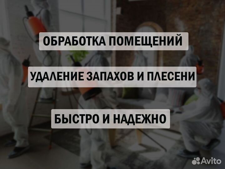 Уничтожение тараканов травить клопов обработка