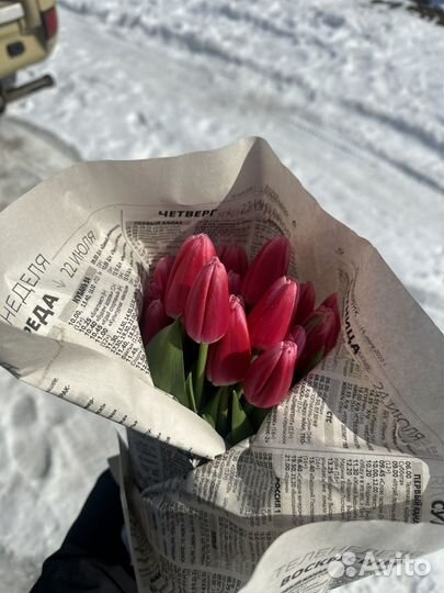 Тюльпаны к 8 марта