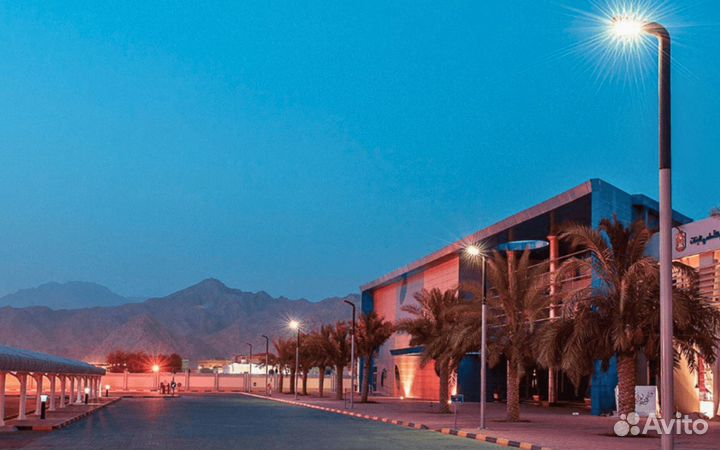 Инвестиции в проект, покоривший рынок ОАЭ