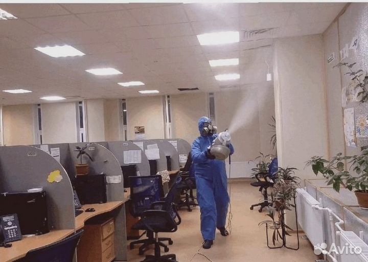 Средство против тараканов клопов