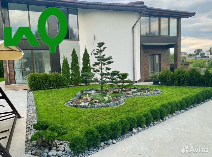 Рулонный газон с доставкой