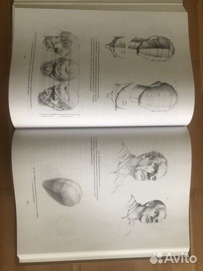 Голова человека Николай Ли учебное пособие