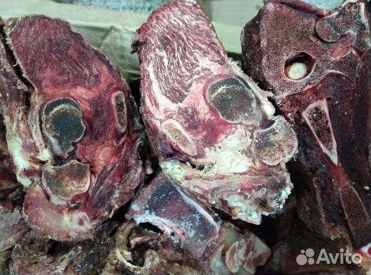 Мясо для собак (Рагу мясное)