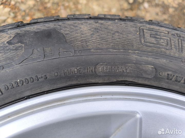Gislaved Nord Frost 5 195/55 R15