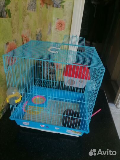 Клетка для грызунов