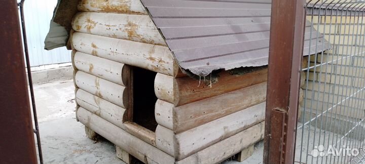 Будка в дар для большой собаки