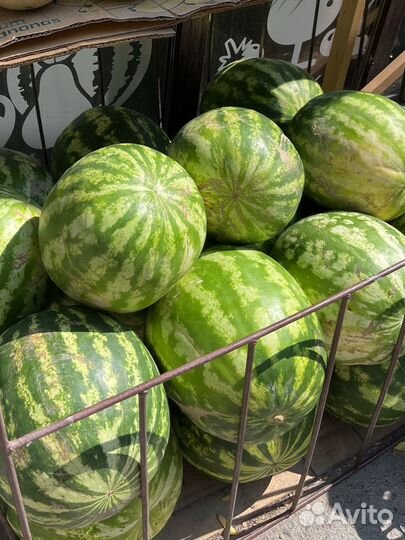 Арбуз сладкий