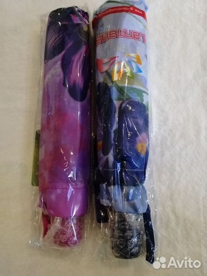 Новые зонты