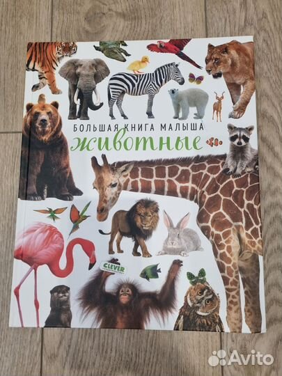 Большая книга малыша Животные