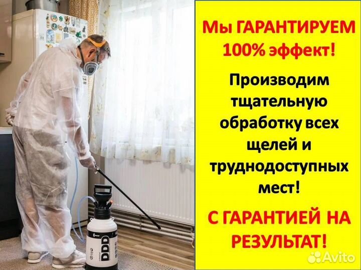 Уничтожение тараканов, клопов, блох, грызунов 24/7