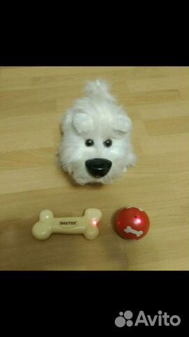 Собака Бакстер