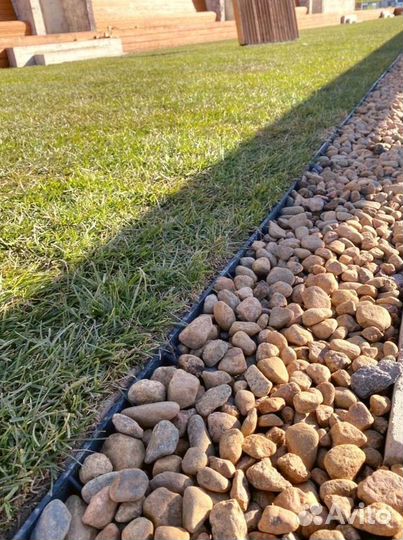 Рулонный газон от производителя