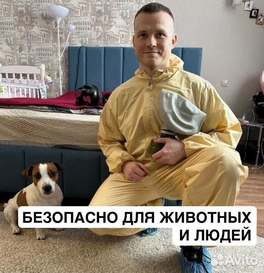 Обработка от тараканов дезинсекция