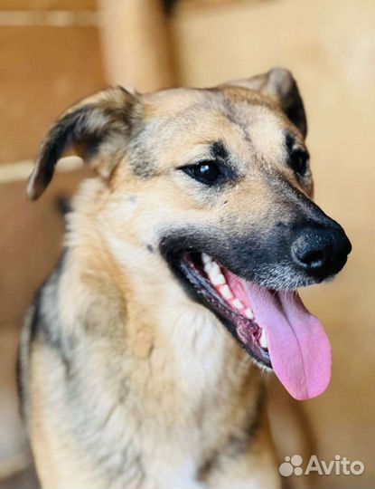 Прекрасная Нола ждёт мам пап